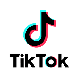 TikTok Ads